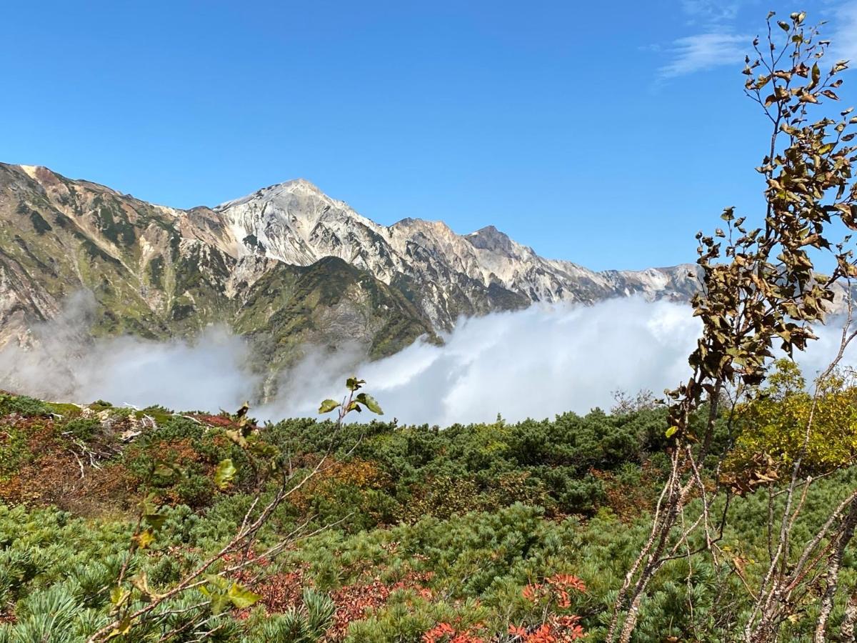 Hareruya Bed and Breakfast Hakuba Exteriör bild